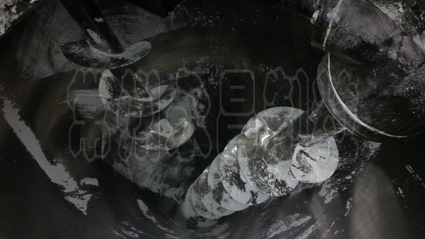 DSH Double Helix Cone Mixer