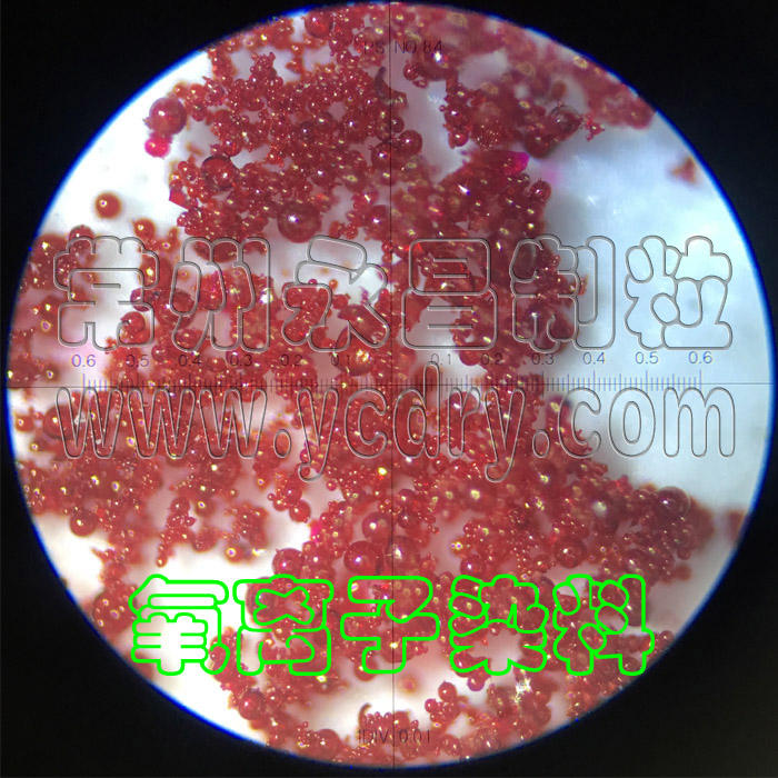 Tomato powder production line