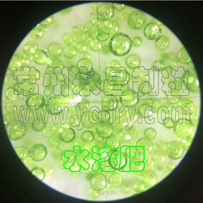 Tomato powder production line