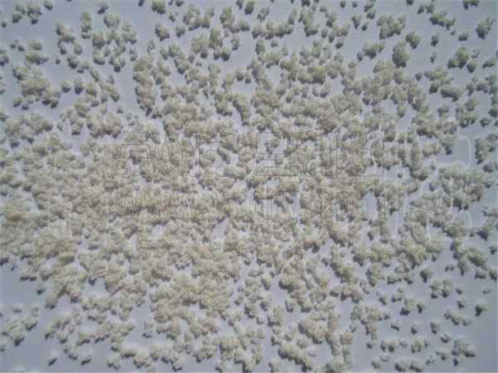 Vegetable powder granulating machine