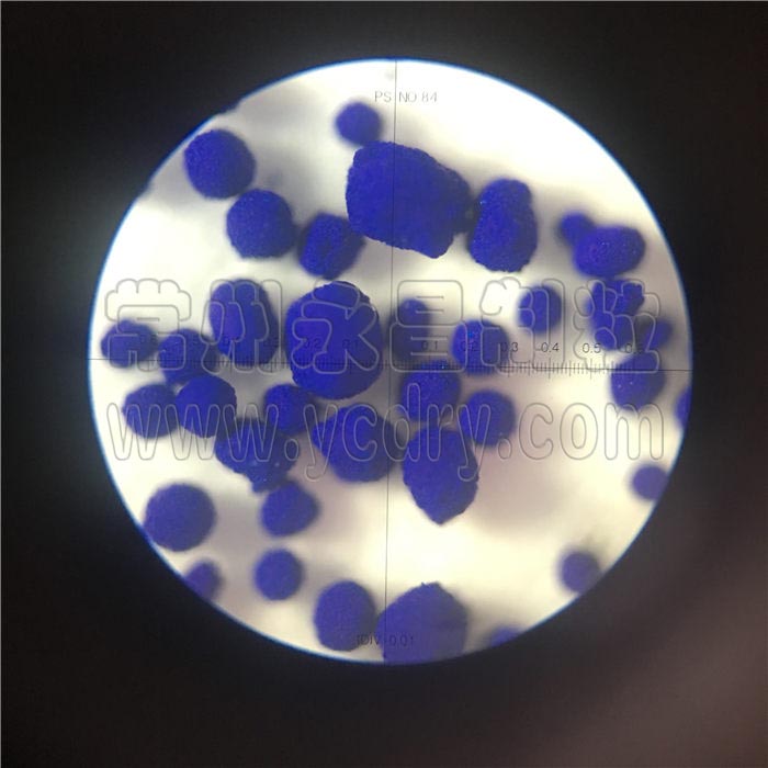 Oyster peptide granulating spray dryer