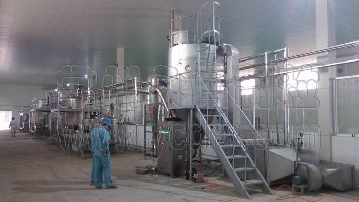 garlic powder spray dryer