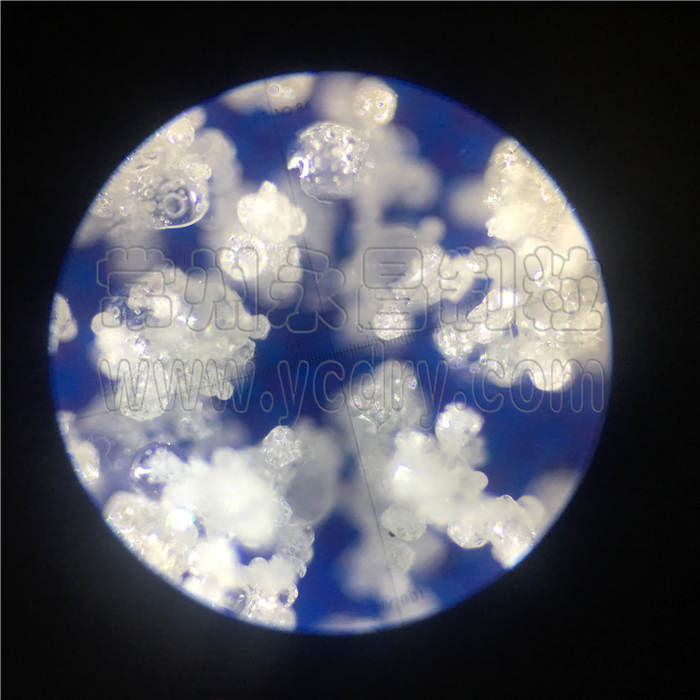 plant polypeptide spray granulating equipment